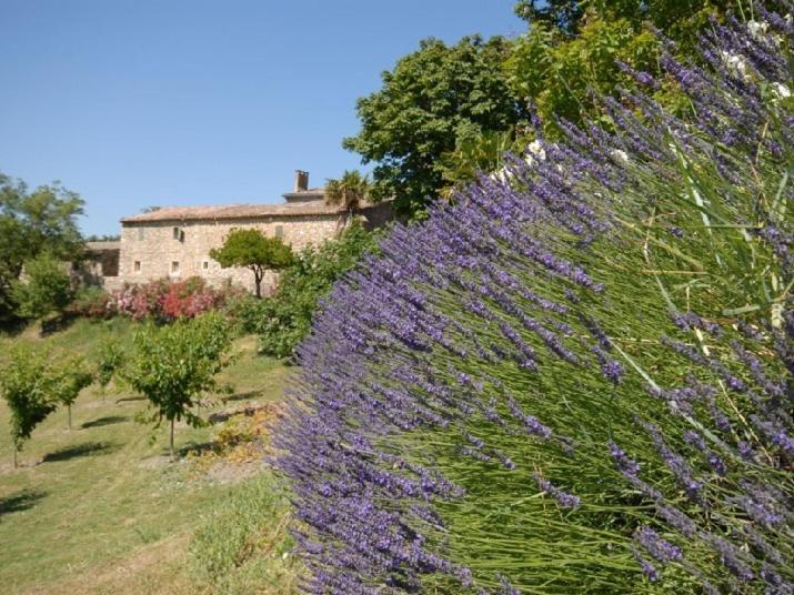 Bed and Breakfast Domaine De Cousignac Bourg-Saint-Andéol Esterno foto